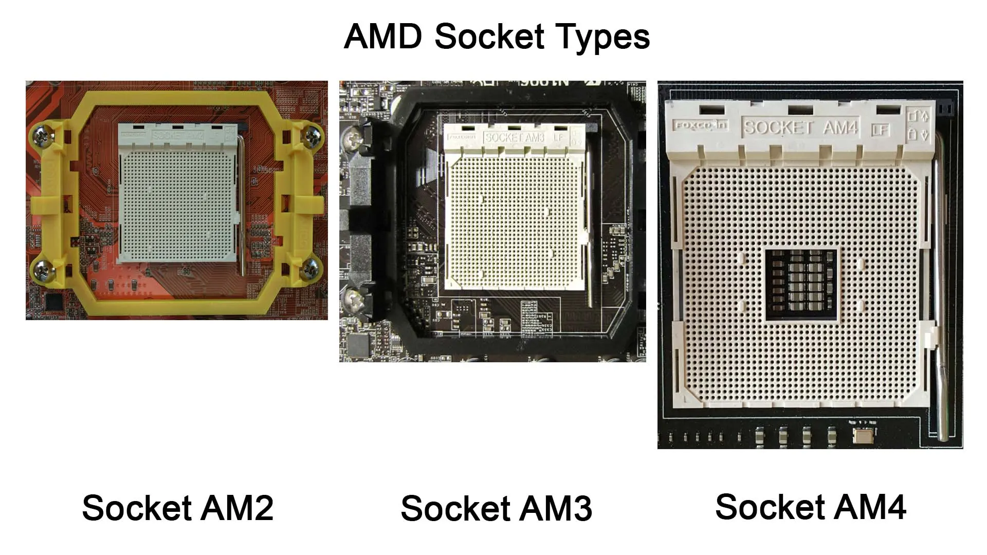 مقایسه سوکت های مادربورد سی پی یو AMD