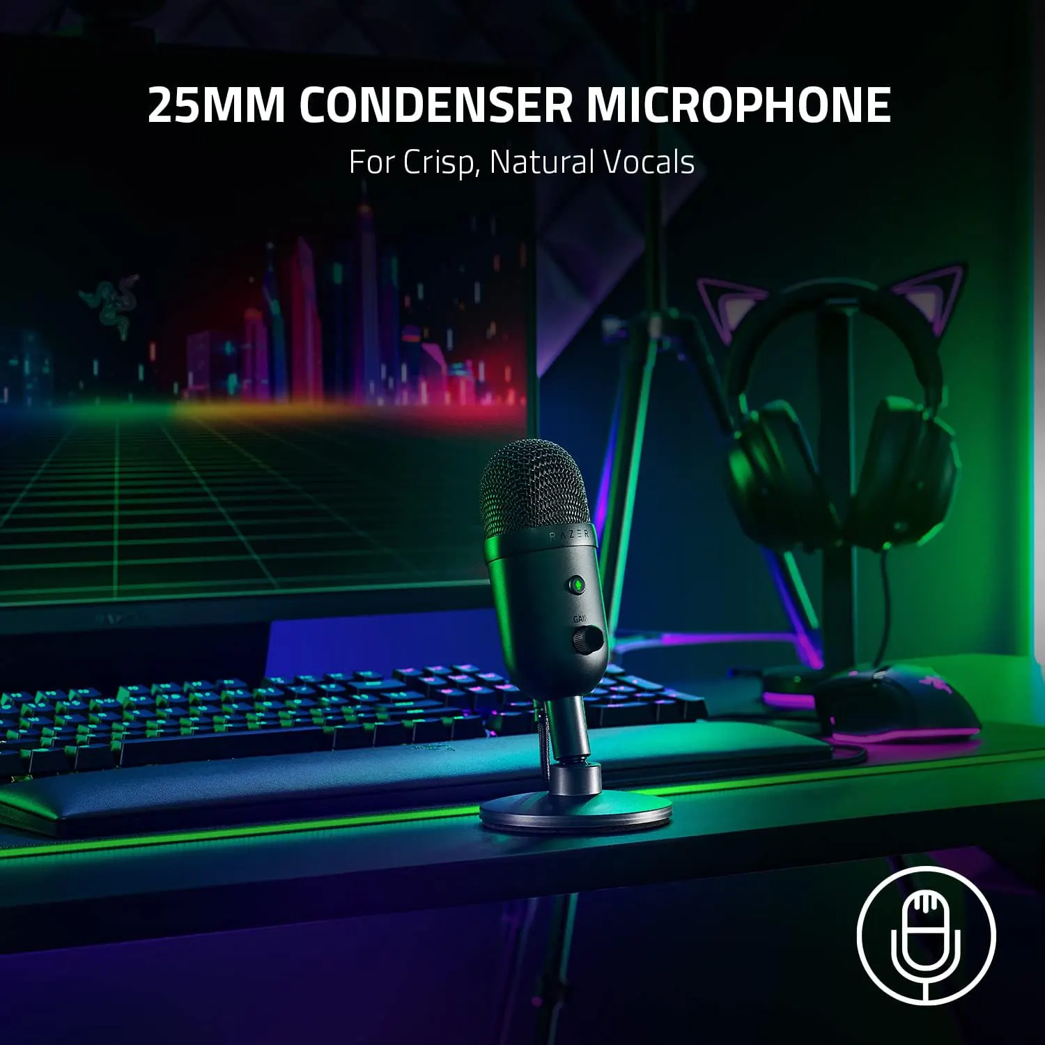 میکروفون استریم و گیمینگ ریزر مدل Razer Seiren V2 X USB Condenser Microphone